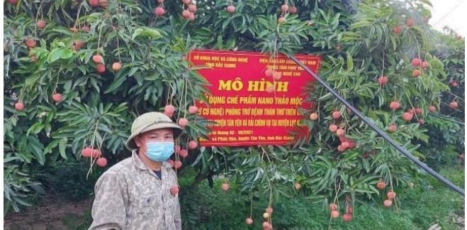 Công nghệ nano mở lối cho nông nghiệp xanh