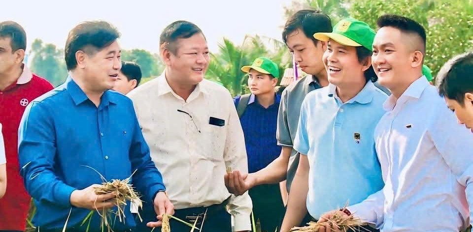 Canh tác lúa giảm phát thải: Hành trình nâng cao giá trị hạt gạo Việt