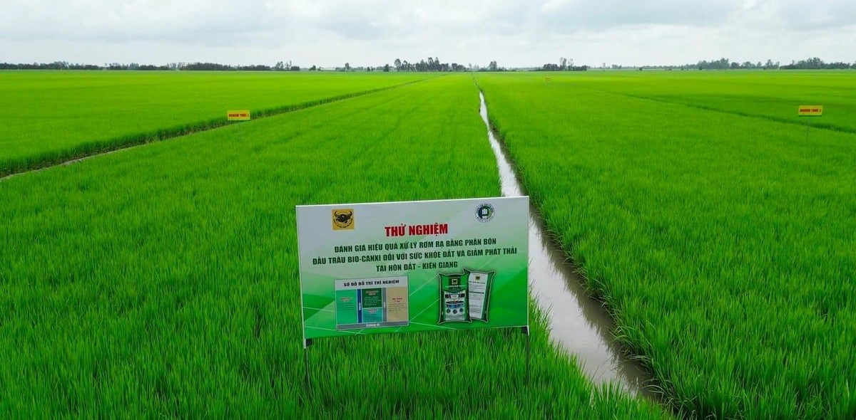 Hành trình đưa vi sinh vật vào Phân bón Đầu Trâu Bio-Canxi