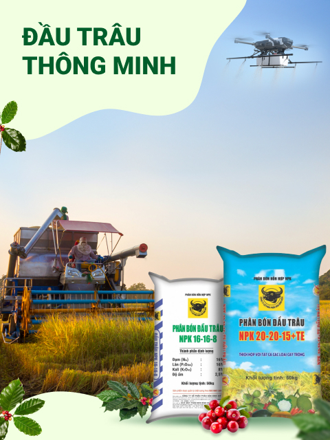 NPK Đầu trâu thông minh