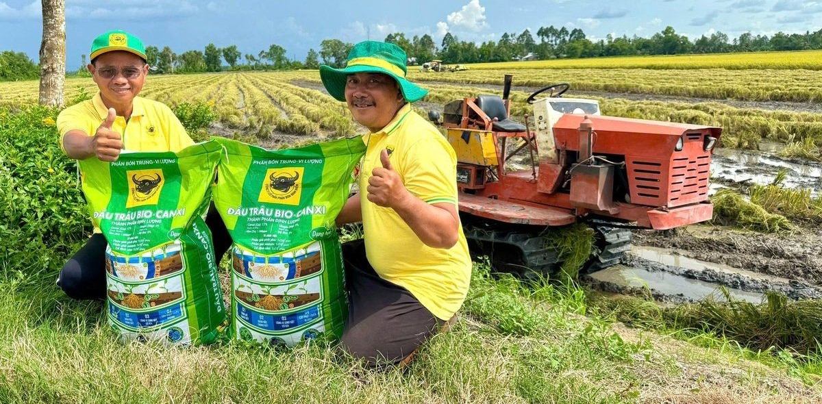 Đầu Trâu Bio-Canxi- giải pháp canh tác lúa gạo bền vững, giảm phát thải