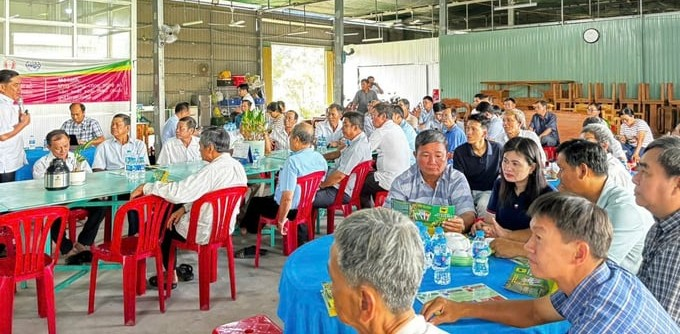 Phân bón Đầu Trâu chia sẻ thông tin giúp nâng cao năng suất xoài Đồng Tháp