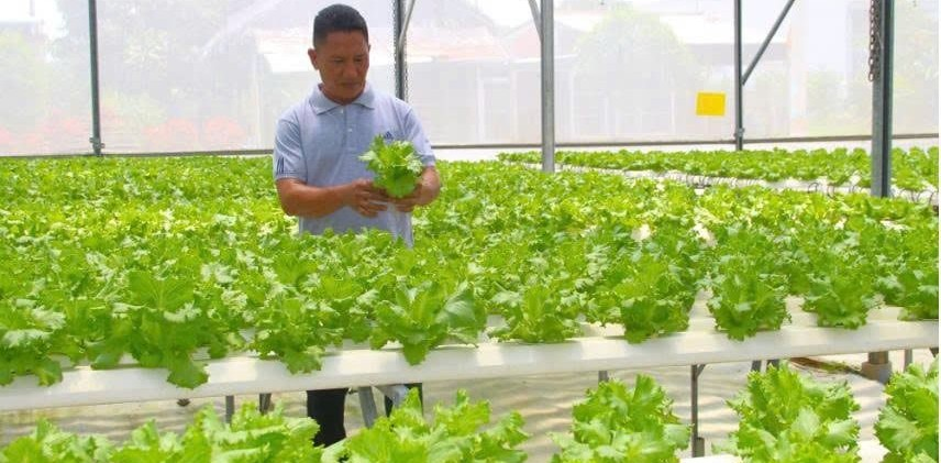 Long An sáp nhập Tây Ninh: Nhiều lợi thế để nông nghiệp ứng dụng công nghệ cao phát triển