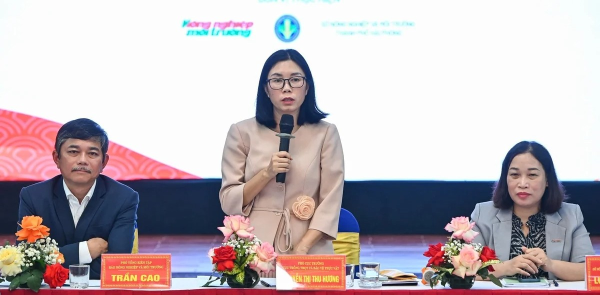 Phân nhóm thu hoạch trước, cận và sau Tết để tránh dồn rau vụ đông