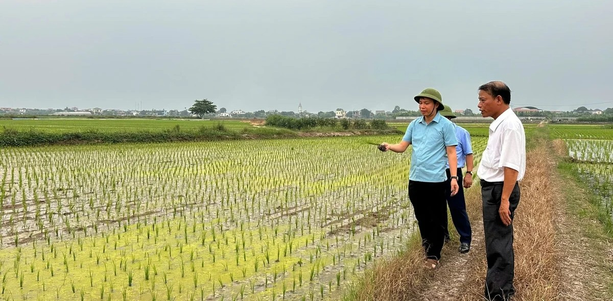 Nông nghiệp Đông Tiên Hưng khởi sắc nhờ tri thức cộng đồng