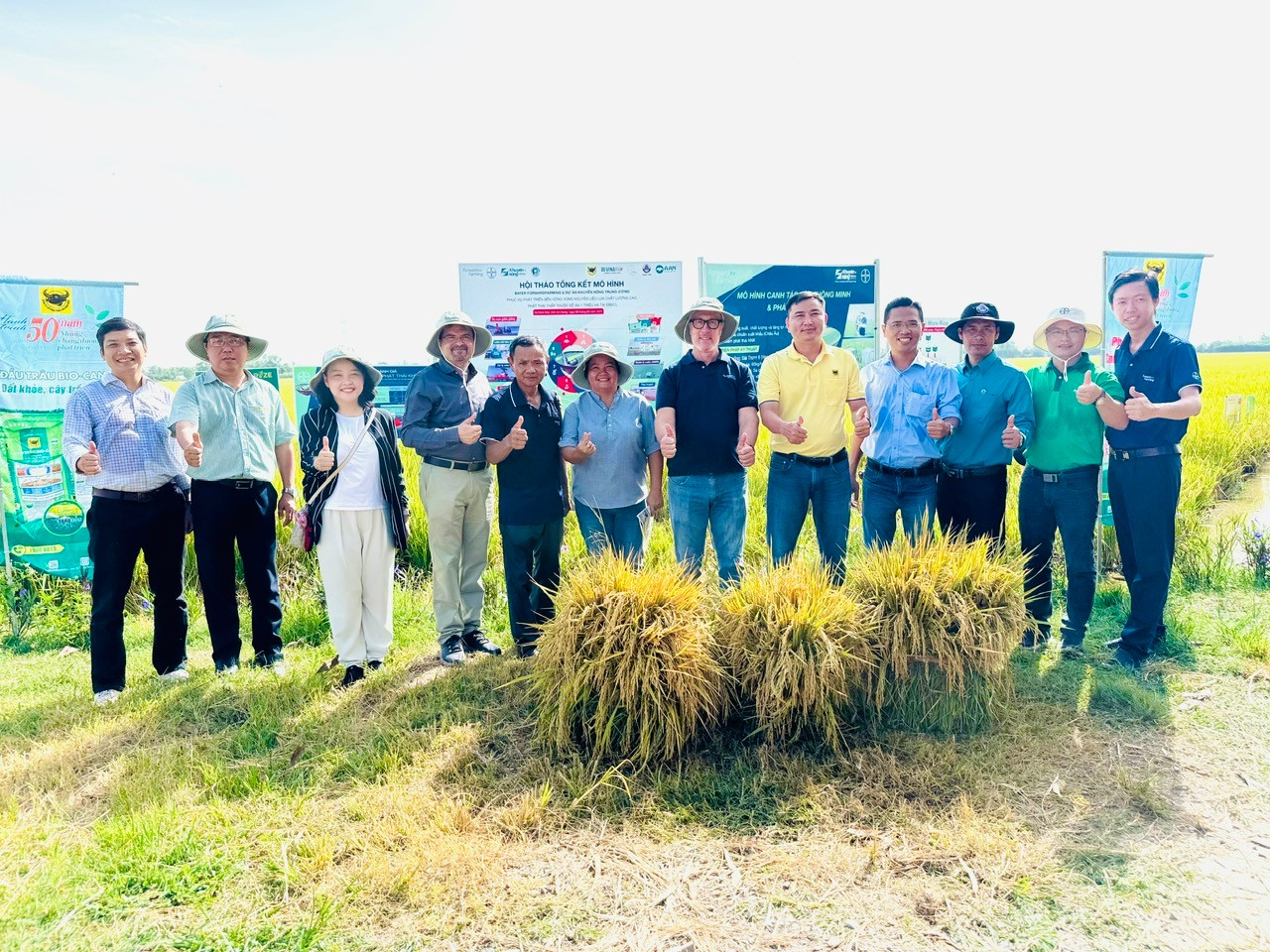 Kết quả nổi bật từ mô hình canh tác lúa chất lượng cao phát thải thấp tại An Giang năm 2025