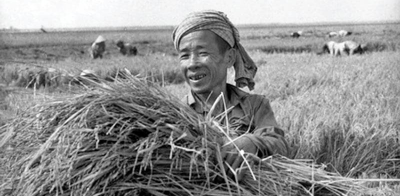 Tri thức nảy mầm trong gian khó, khơi nguồn cho 'cách mạng xanh'