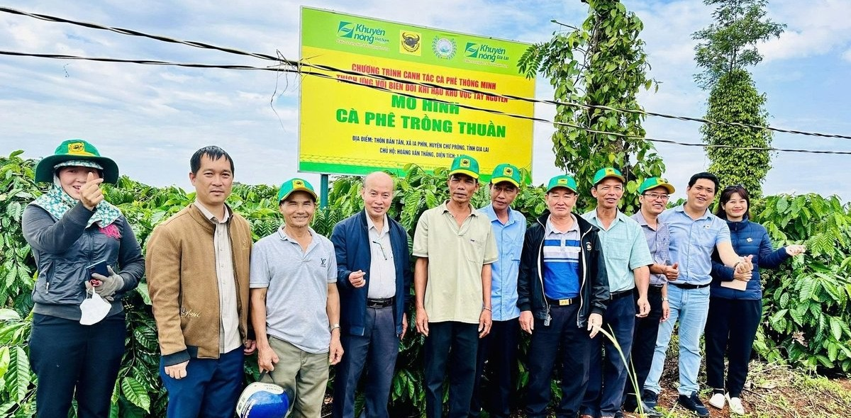 Canh tác cà phê cần một tư duy mới