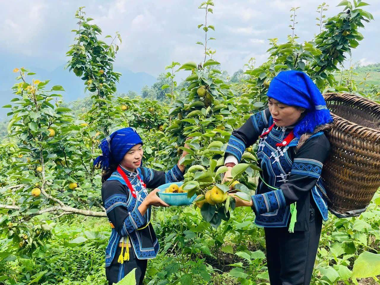 Du lịch nông nghiệp tạo cơn sốt mới