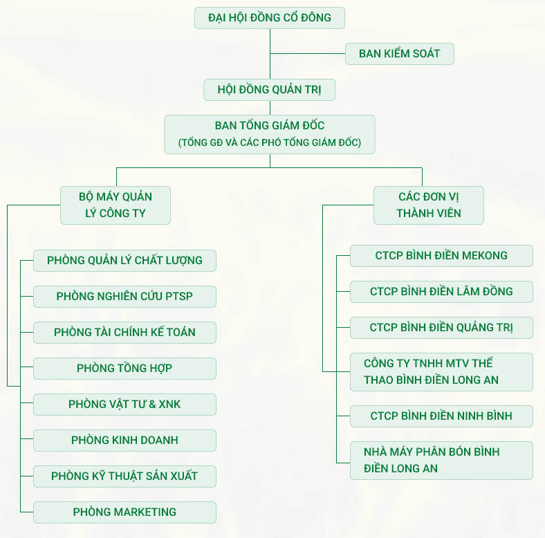 Sơ đồ tổ chức Công ty Cổ phần Phân bón Bình Điền