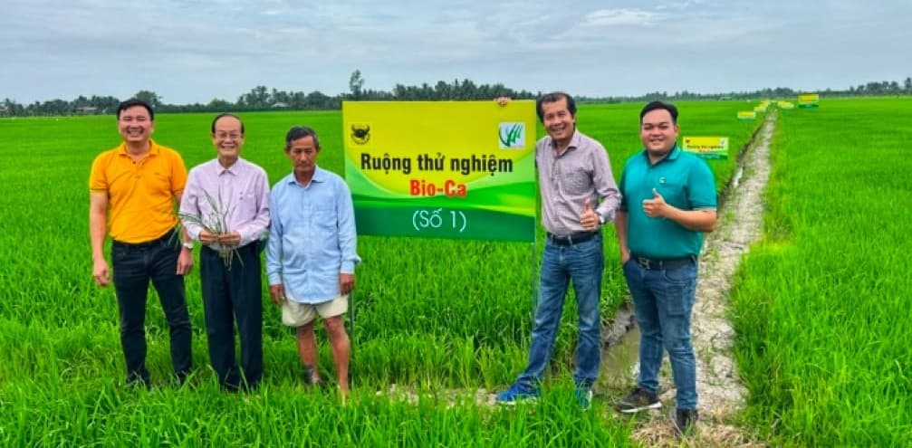 Bio-Ca, chế phẩm tăng pH đất nâng cao hiệu quả canh tác lúa vùng đất phèn