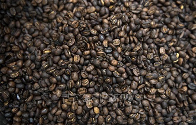 Thị trường nông sản: Lý do giá cà phê trên thế giới tăng vọt