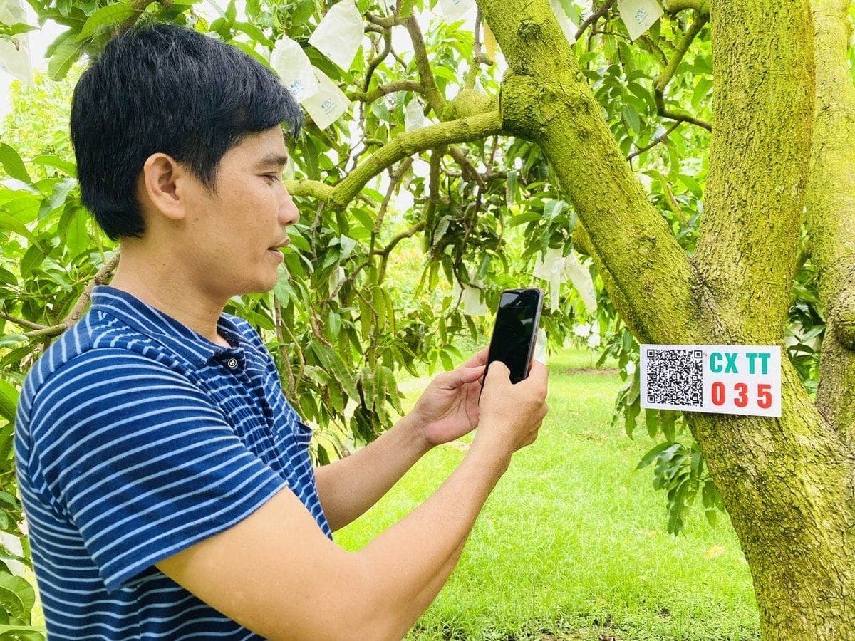 Đồng Tháp tập huấn về AI cho cán bộ và người dân