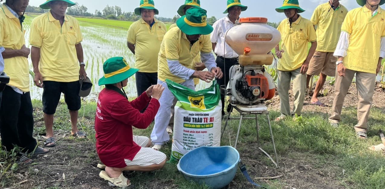 Những lưu ý quản lý sâu bệnh hại lúa vụ hè thu 2023