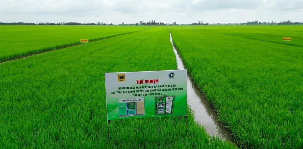 Hành trình đưa vi sinh vật vào Phân bón Đầu Trâu Bio-Canxi