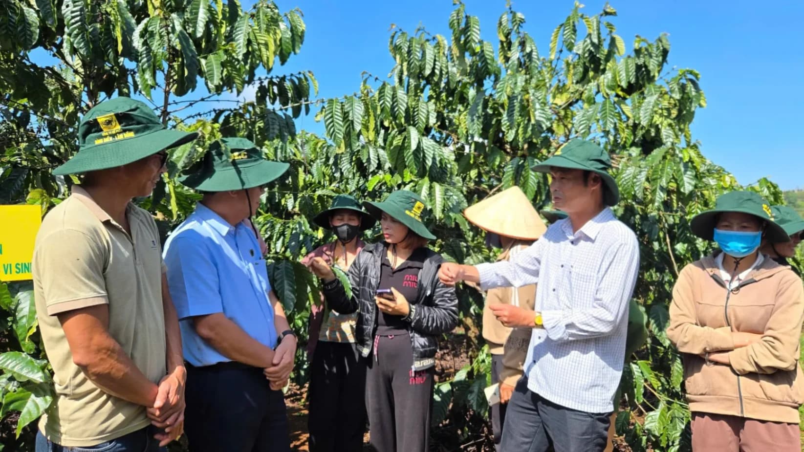 Cà phê Tây Nguyên và cuộc cách mạng công nghệ trên nương rẫy
