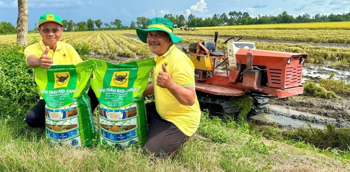Đầu Trâu Bio-Canxi- giải pháp canh tác lúa gạo bền vững, giảm phát thải