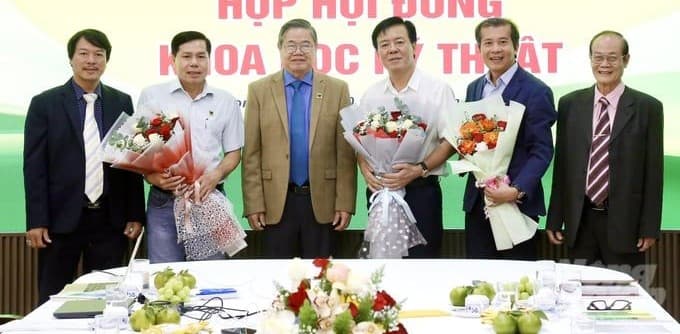 Luận bàn về bí quyết thành công của Phân bón Bình Điền