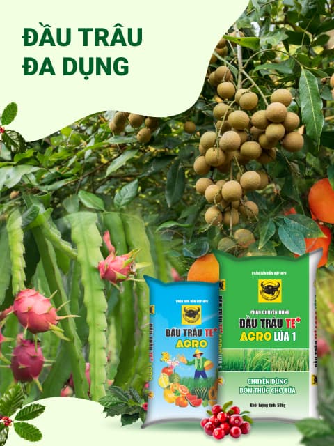 NPK Đầu Trâu đa dụng