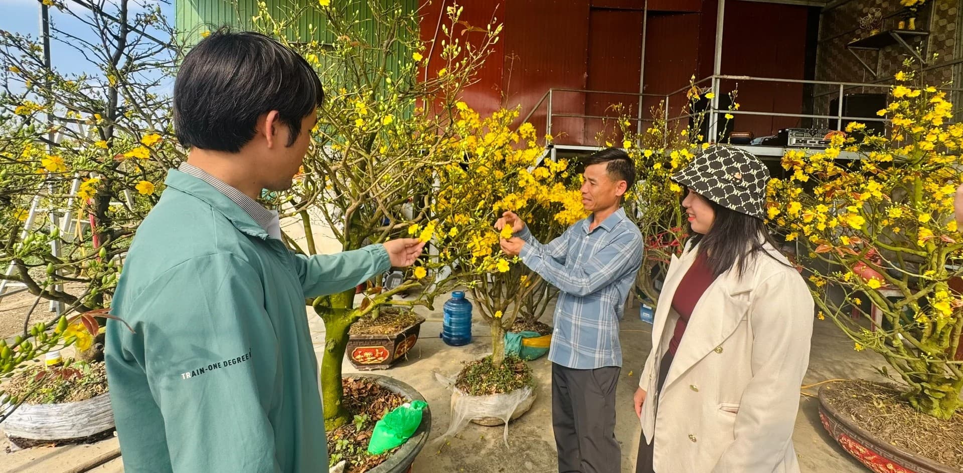 Vượt thời tiết bất lợi, người trồng hoa giữ vững vụ Tết