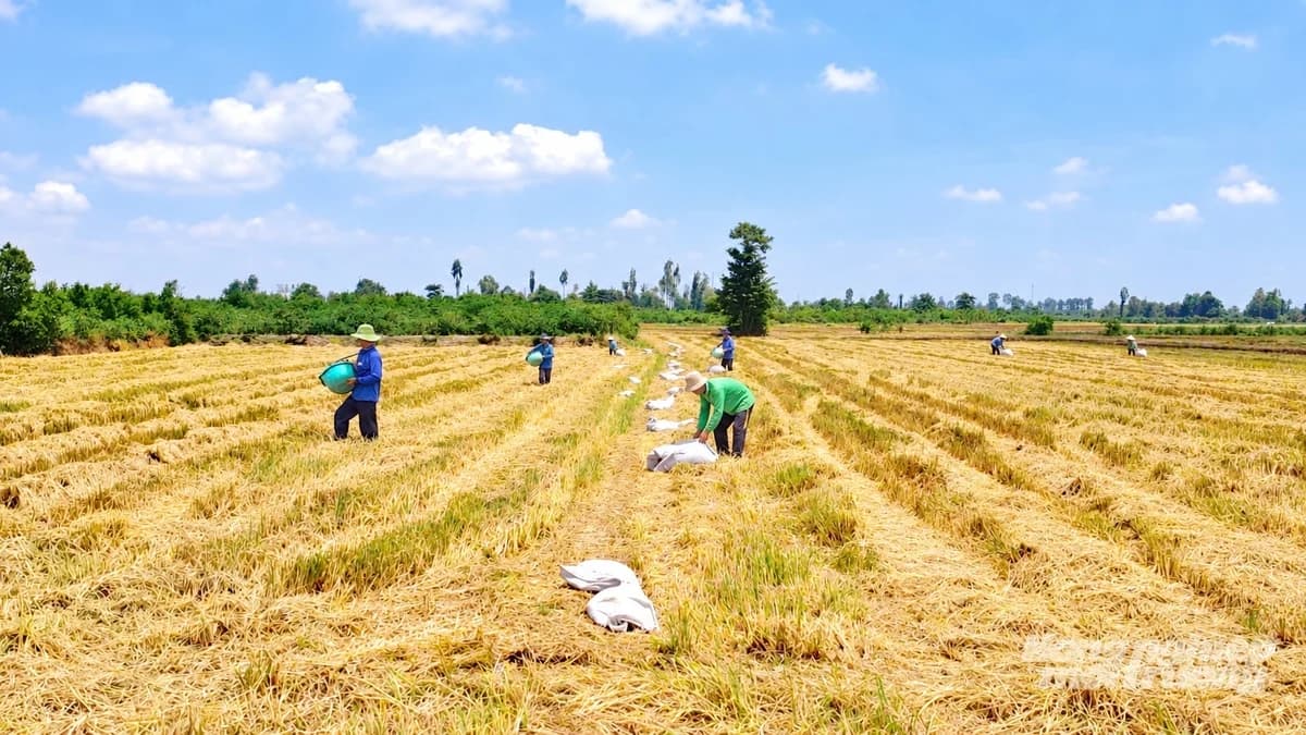 Không để nông dân đơn độc gánh công cuộc chuyển đổi xanh