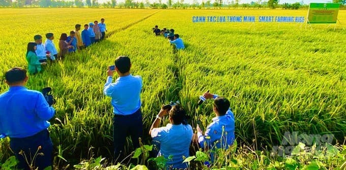 Bí thư Tỉnh ủy Hậu Giang Nghiêm Xuân Thành thăm đồng đầu xuân