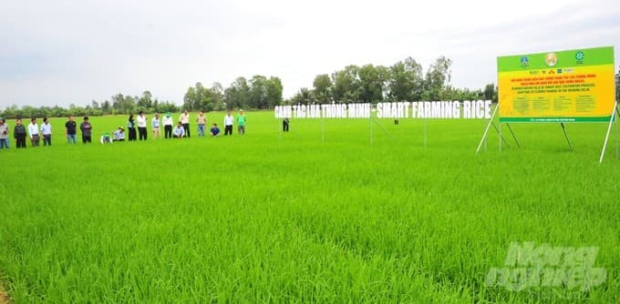 Đoàn Campuchia sang học hỏi sản xuất nông nghiệp ĐBSCL