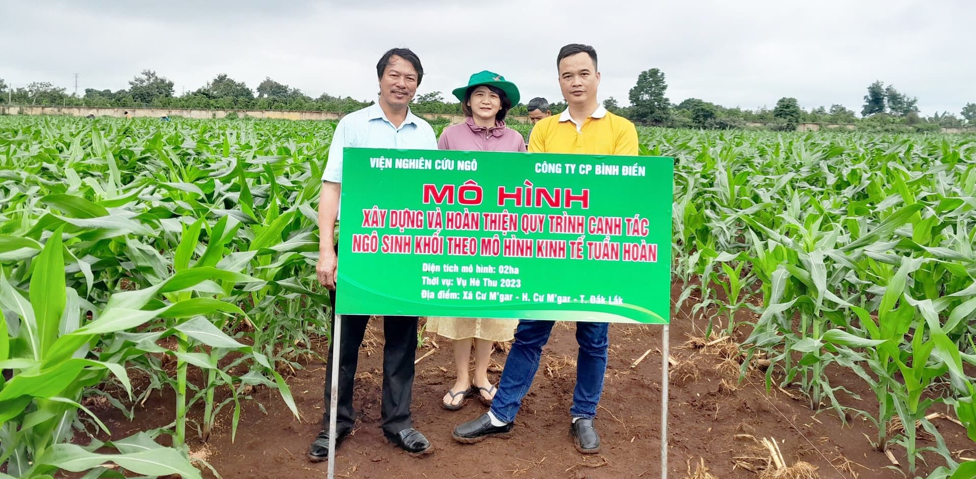 Bình Điền và Viện Nghiên cứu Ngô Triển khai mô hình canh tác ngô sinh khối theo mô hình kinh tế tuần hoàn.