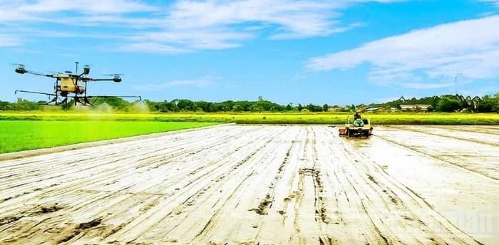 Ngành Nông nghiệp và Môi trường hướng tới bứt phá 2026, kêu gọi doanh nghiệp thích ứng và chuyển đổi xanh