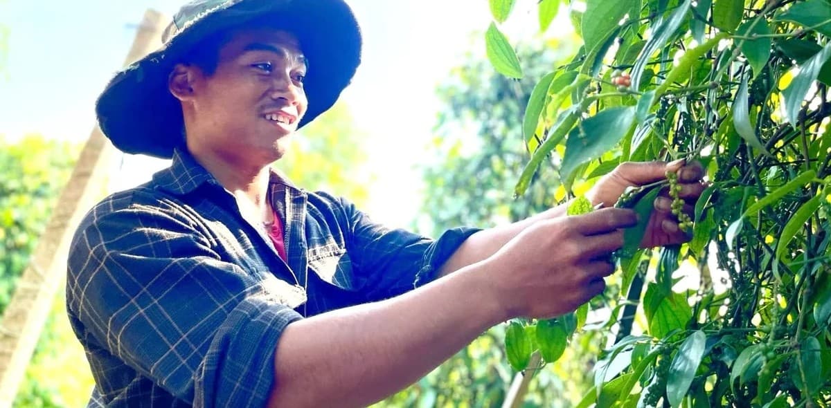 Nông nghiệp tăng trưởng, trồng trọt tiếp tục là trụ cột