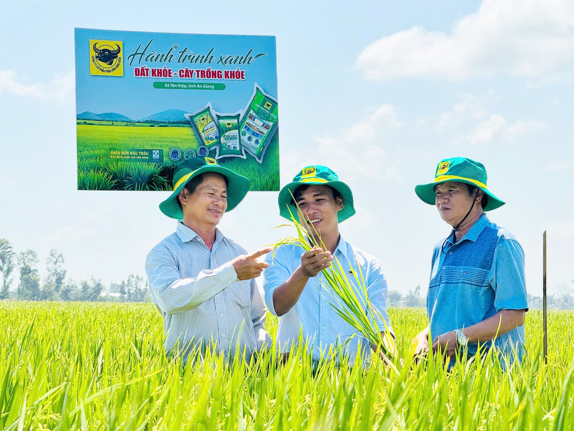 Phân bón Đầu Trâu – Thương hiệu quốc gia được vun đắp từ niềm tin trên đồng ruộng