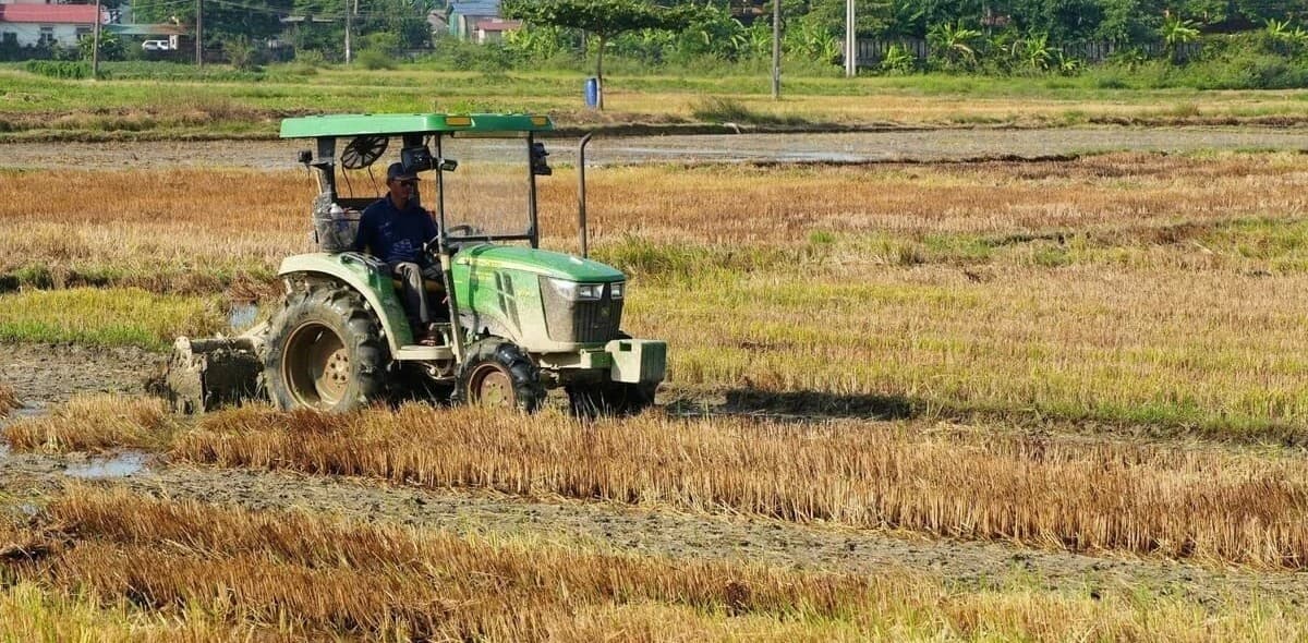 Sản xuất trồng trọt phía Nam chủ động ứng phó El Niño