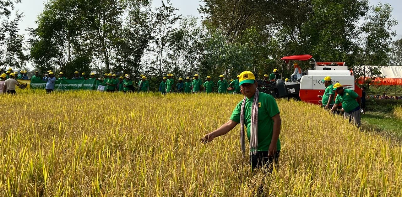 Mô hình canh tác lúa thông minh với giải pháp gieo sạ cụm trên nền phân bón Đầu Trâu tại Prey Veng (Campuchia) mang lại lợi nhuận cao hơn 420$/ha.