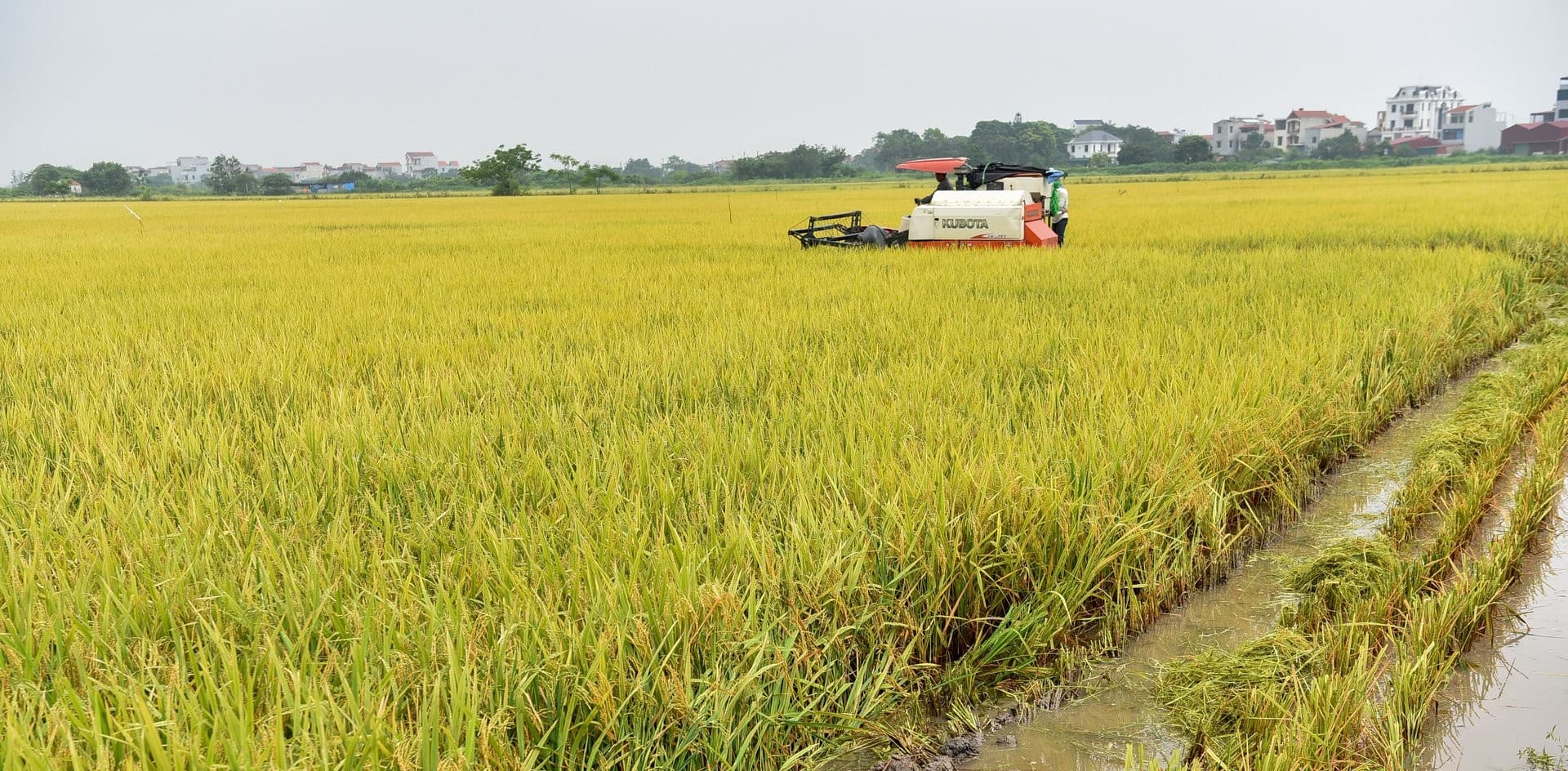Nơi nông dân chân không lấm bùn