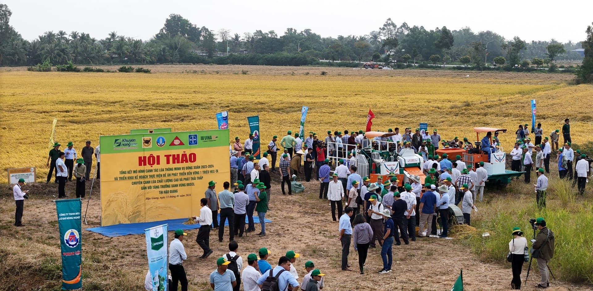 Canh tác lúa thông minh, nông dân trúng lớn