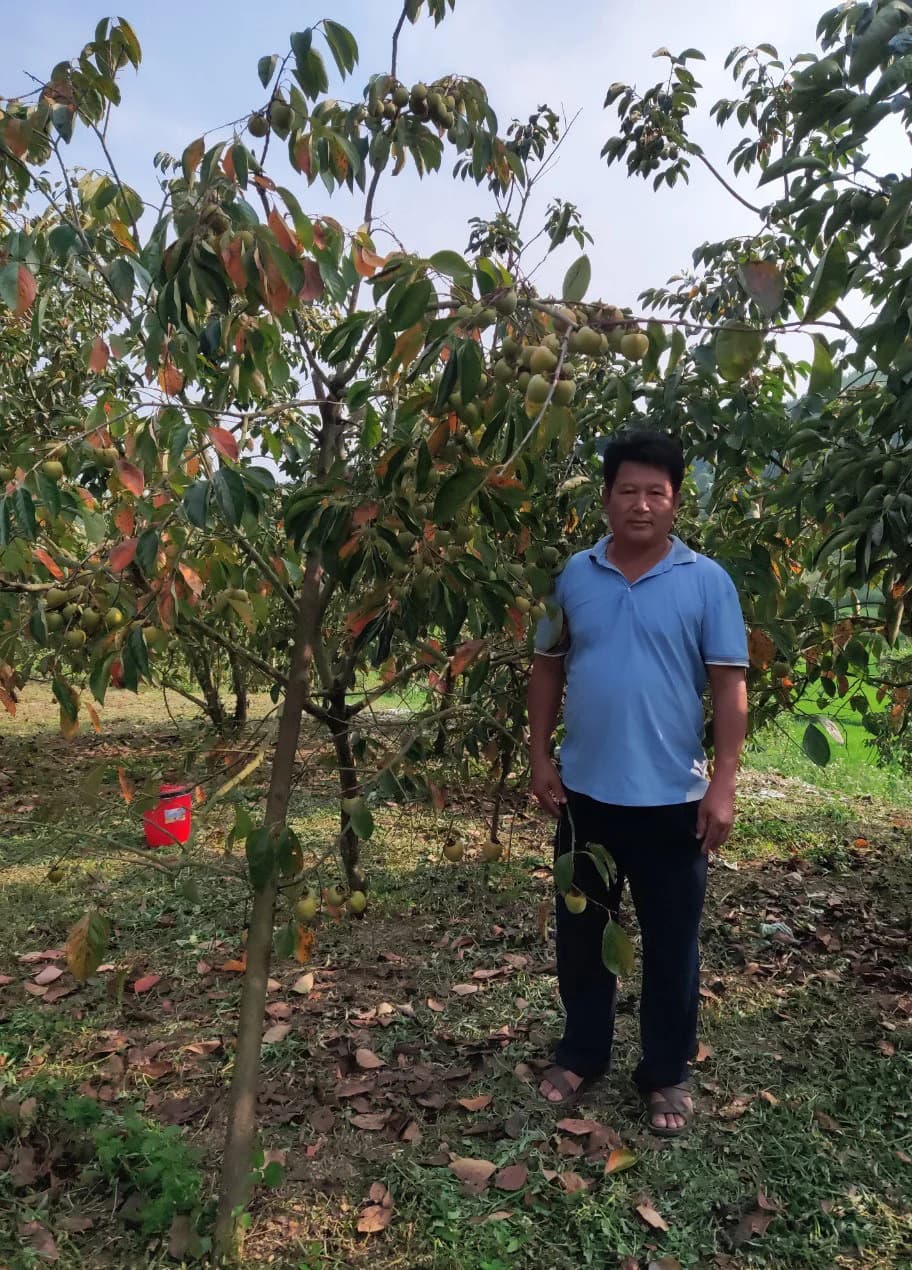 Một nông dân Lạng Sơn giàu có nhờ trồng thứ cây ra loại quả muốn ngon phải "ngâm đêm ngâm ngày"