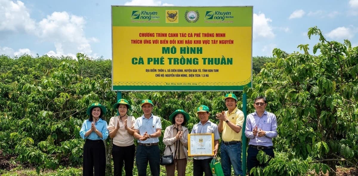 'Đầu Trâu giúp tôi làm nông nghiệp có lời, sức khỏe đất lại được tăng cường'