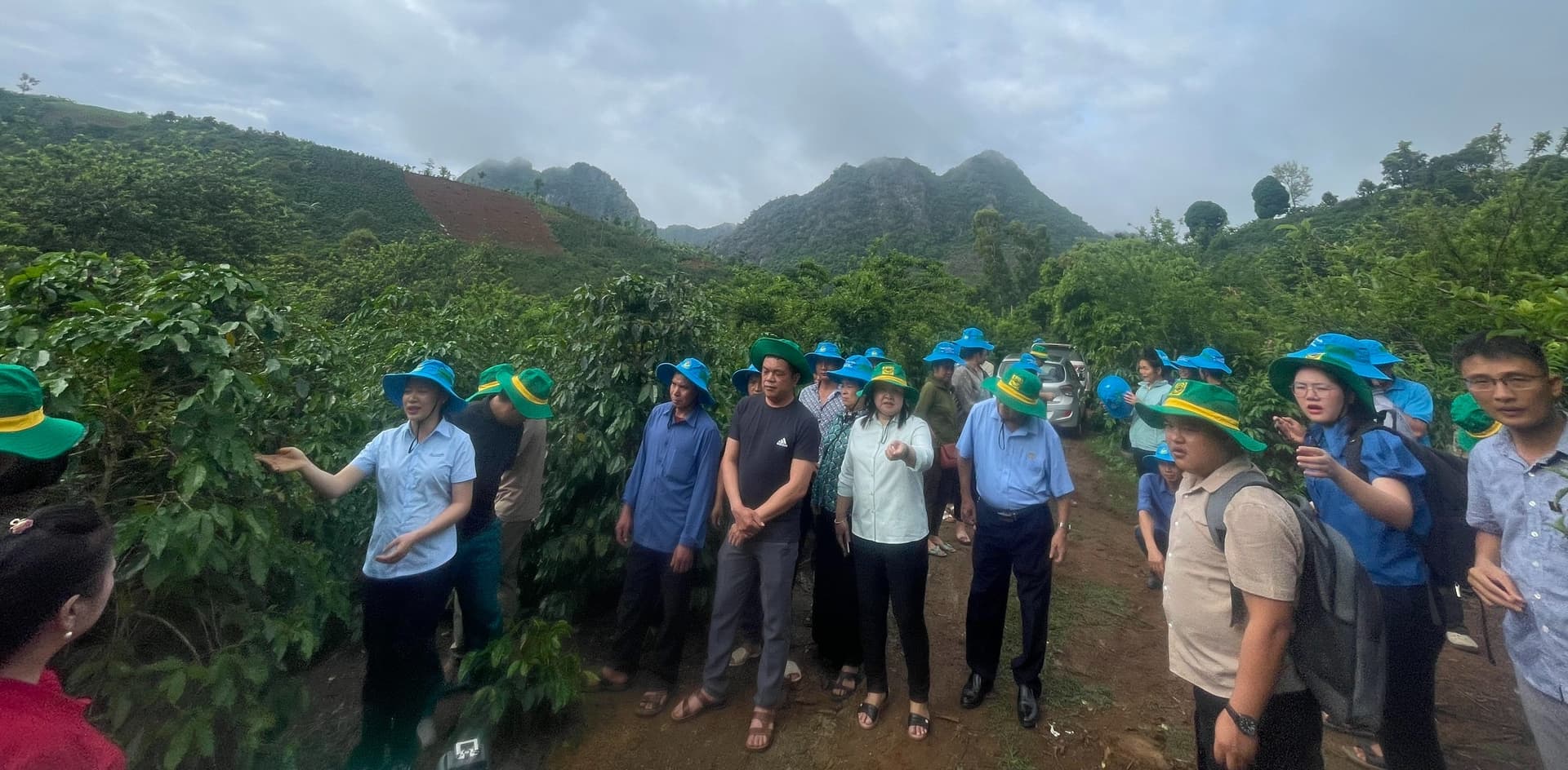 Mô hình canh tác cà phê thông minh thích ứng với biến đổi khí hậu tại Bản Lụa, xã Hula, thành phố Sơn La đã làm thay đổi dần tập quán canh tác cà phê của bà con nông dân