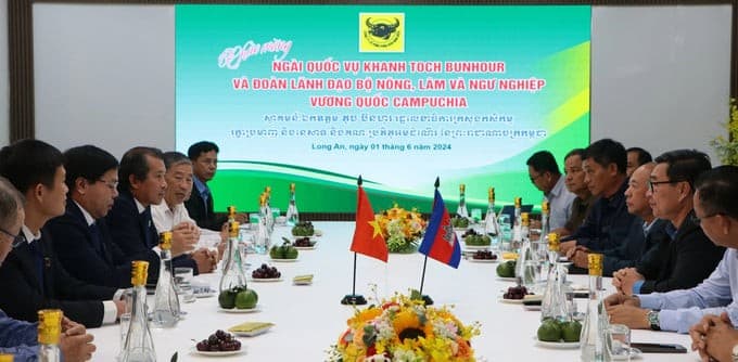 Campuchia đánh giá cao 'Chương trình canh tác lúa thông minh' của Bình Điền