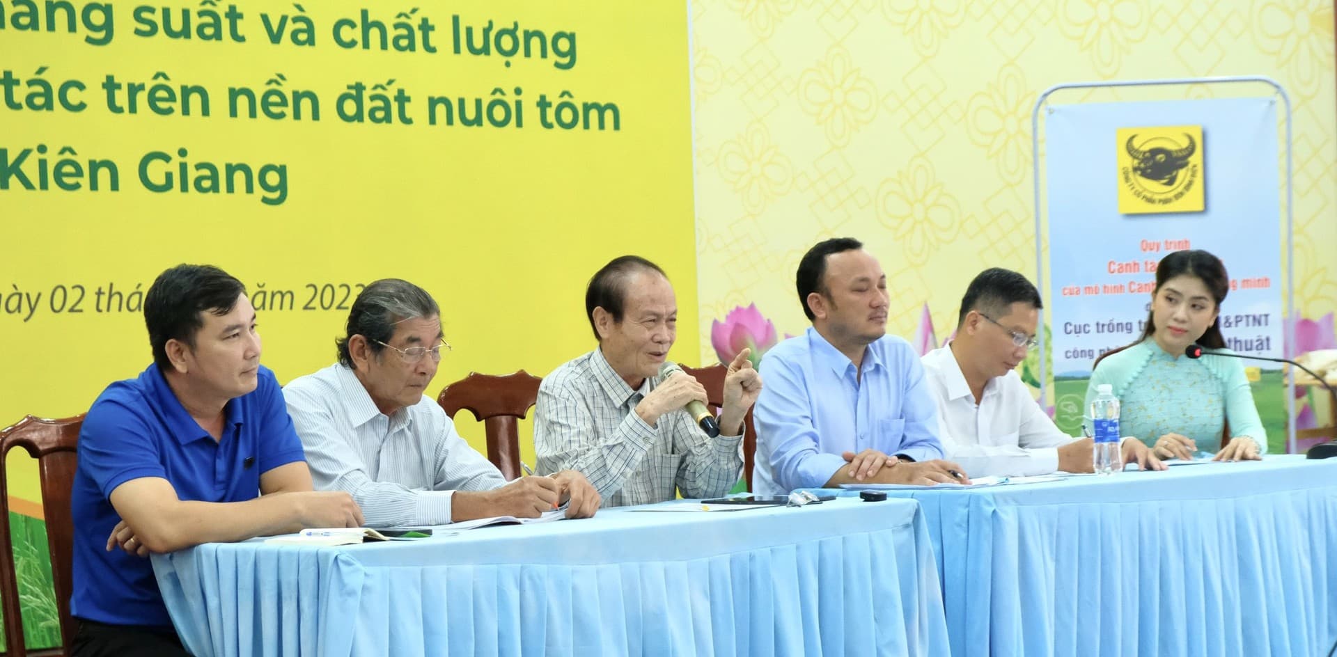 Tăng năng suất chất lượng lúa ST24, ST25 trên đất nuôi tôm Kiên Giang