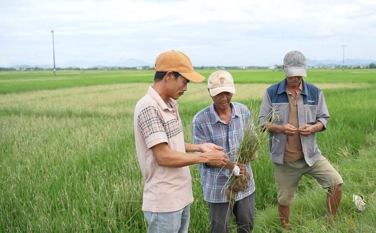 Đắk Lắk trước cơ hội trở thành ‘thủ phủ nông nghiệp xanh’ của Việt Nam