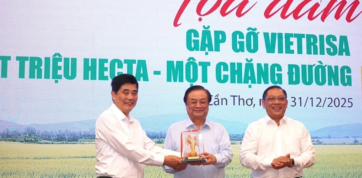 1 triệu ha lúa chất lượng cao: chuyển tư duy từ ‘làm nhiều’ sang ‘làm đúng’