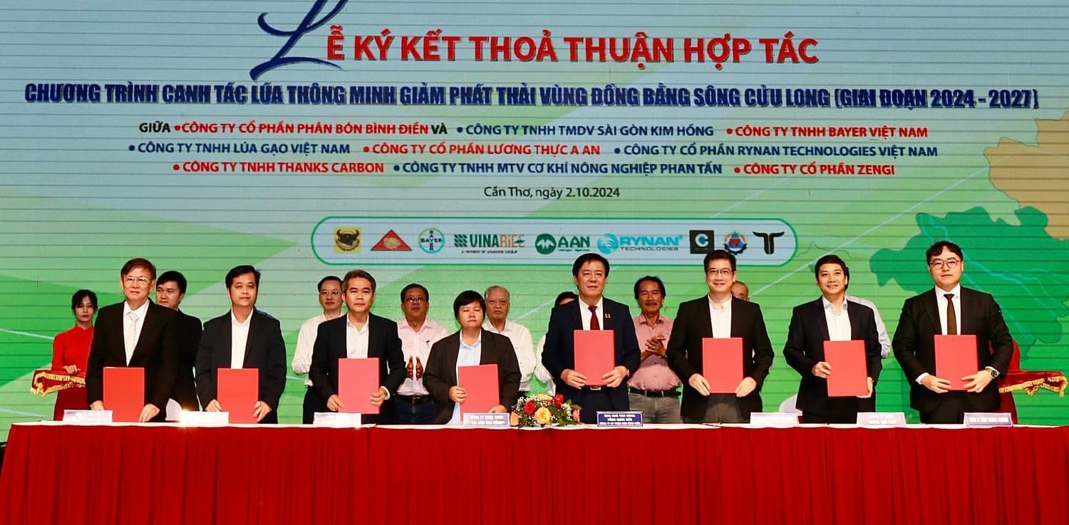 Giải pháp nâng cao chất lượng sử dụng phân bón trong canh tác lúa ở đồng bằng sông Cửu Long