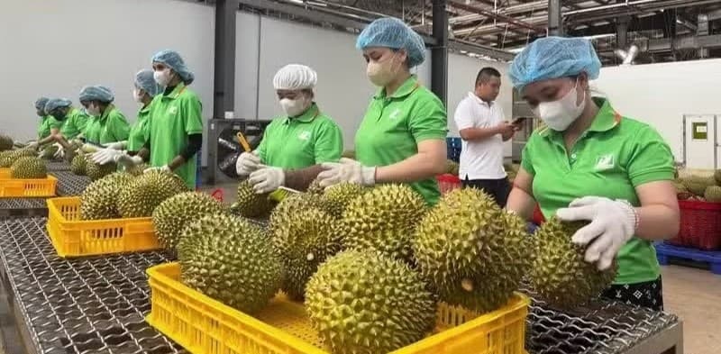 Hình thành “hộ chiếu số” cho nông sản Việt