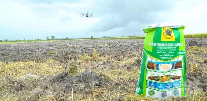 Đầu trâu Bio-Canxi- giải pháp cho đất khỏe và cây trồng khỏe