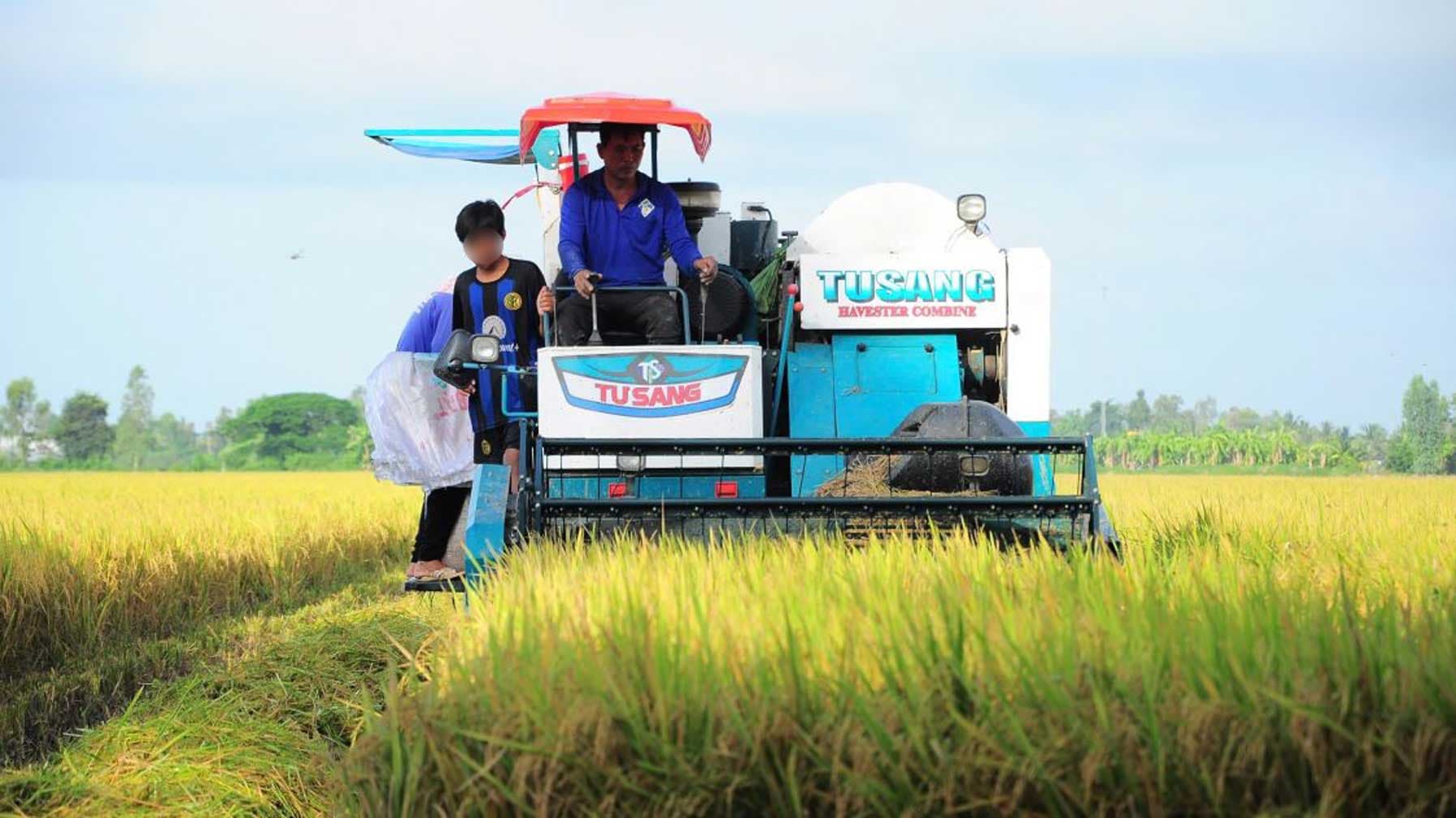 Tìm giải pháp biến rơm rạ từ phế phẩm thành tài nguyên cho ĐBSCL