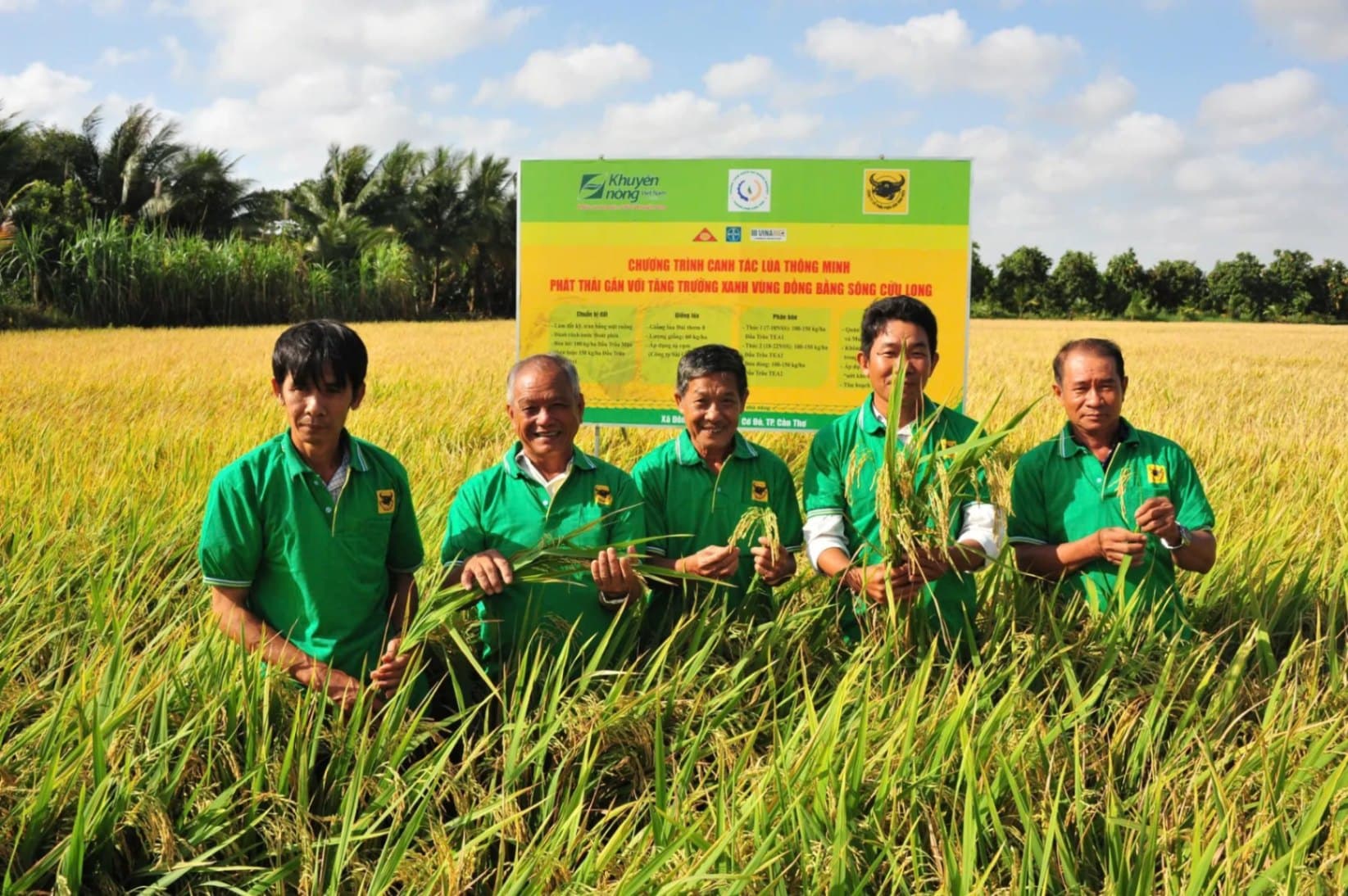 Nông nghiệp thông minh có gì khác với nông nghiệp truyền thống?