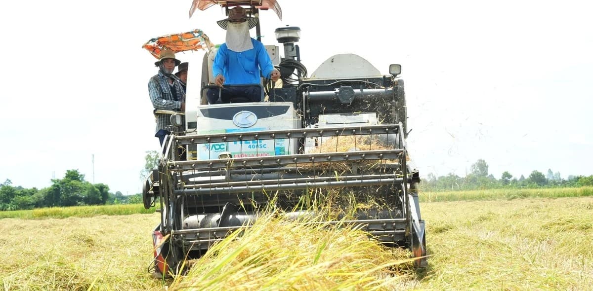 Đảm bảo dòng vốn cho vùng lúa chất lượng cao, giảm phát thải