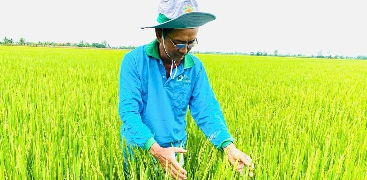 Doanh nghiệp và địa phương đồng lòng triển khai Đề án trồng trọt giảm phát thải