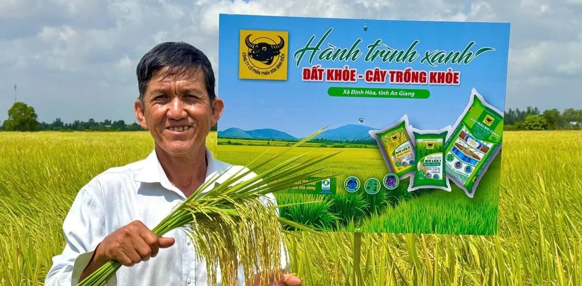 Đất khỏe hôm nay, mùa vàng ngày mai